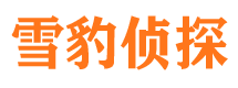 忻城市私家侦探